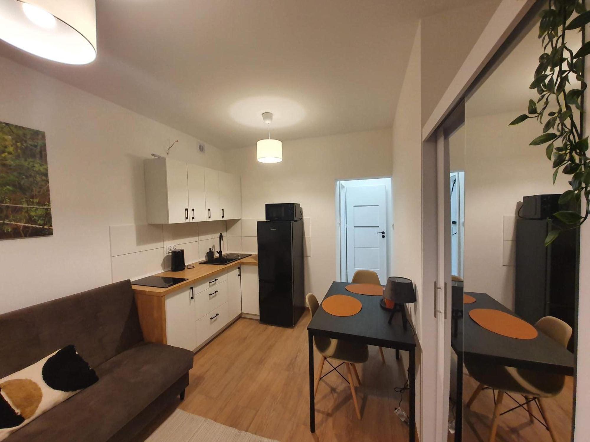 Apartmán Goplanska Free Parking Self Check-in 24h Poznaň