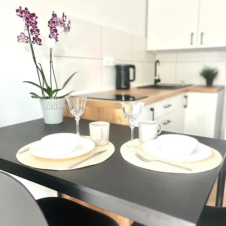 Apartament Goplanska Free Parking Self Check-In 24H Poznaň Exteriér fotografie