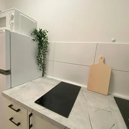 Apartament Goplanska Free Parking Self Check-In 24H Poznaň Exteriér fotografie