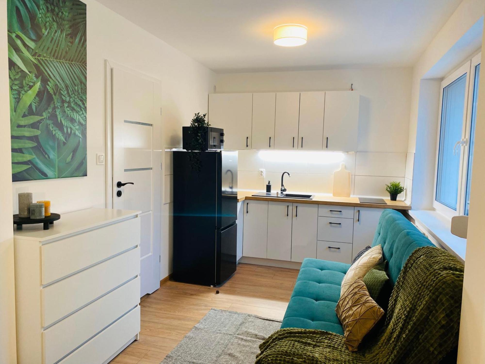 Apartment Goplanska Free Parking Self Check-in 24h Poznan